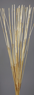 River Cane(dry flower;dried flower)