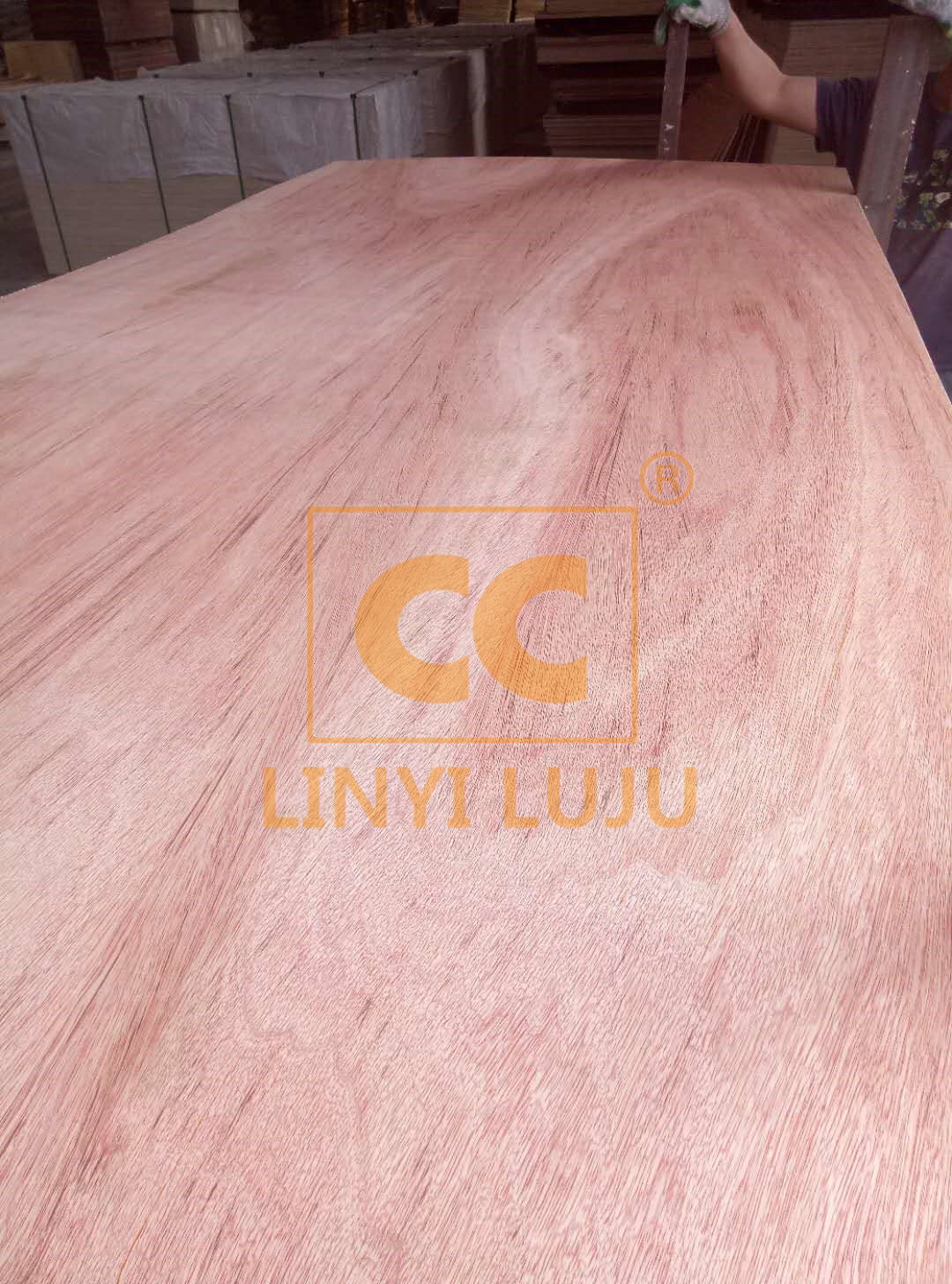 E1 bintangor plywood