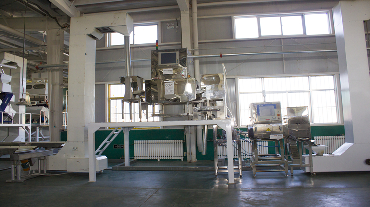 Dalian Dongxiao Agricultural Products Import and Export Co., Ltd. – other nuts and nuts 3