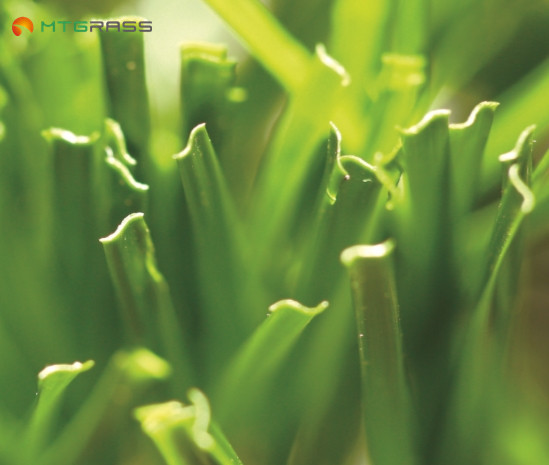 Mighty Grass Co.,Ltd. – caja de regalo 4