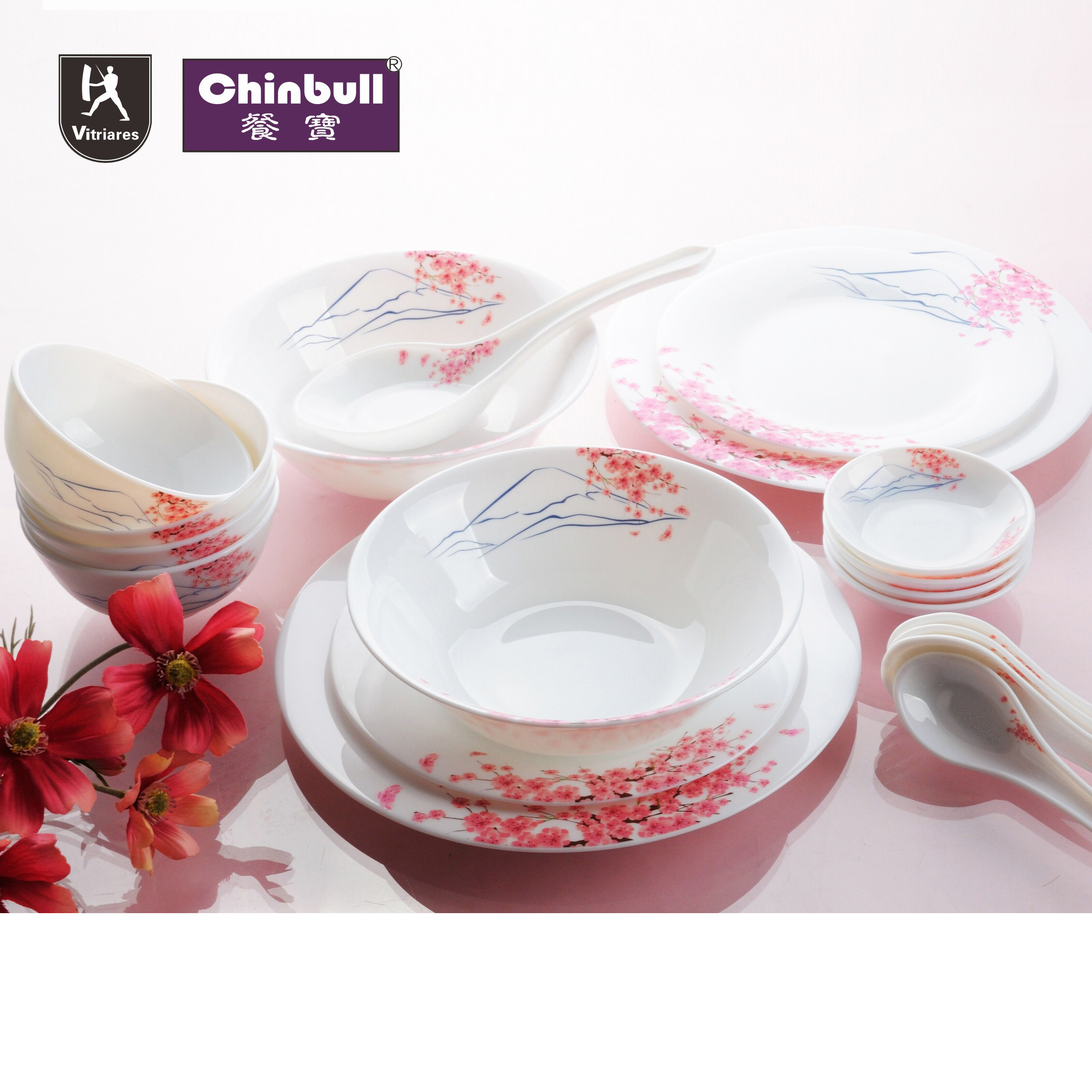 19pcs dinner set (opal glassware）