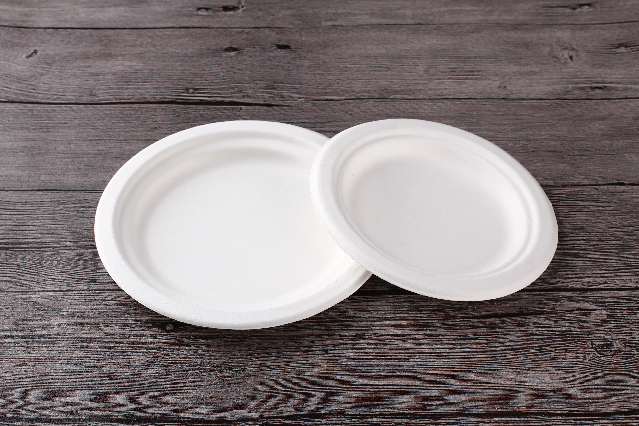 Sugarcane bagasse pulp round dinner plate