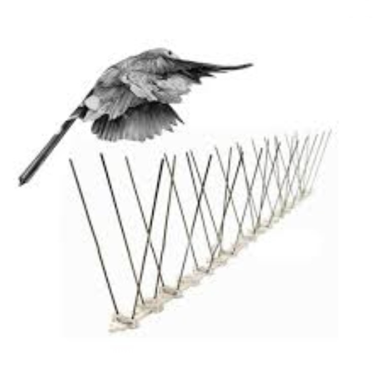 Bird Spikes