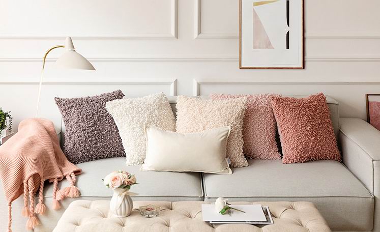 cushion