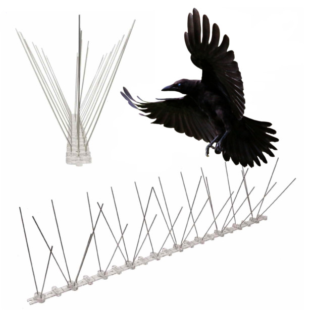 Bird Spikes