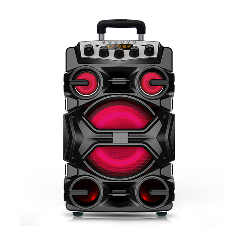 Wooden speaker WZ-DLS-AP-1612