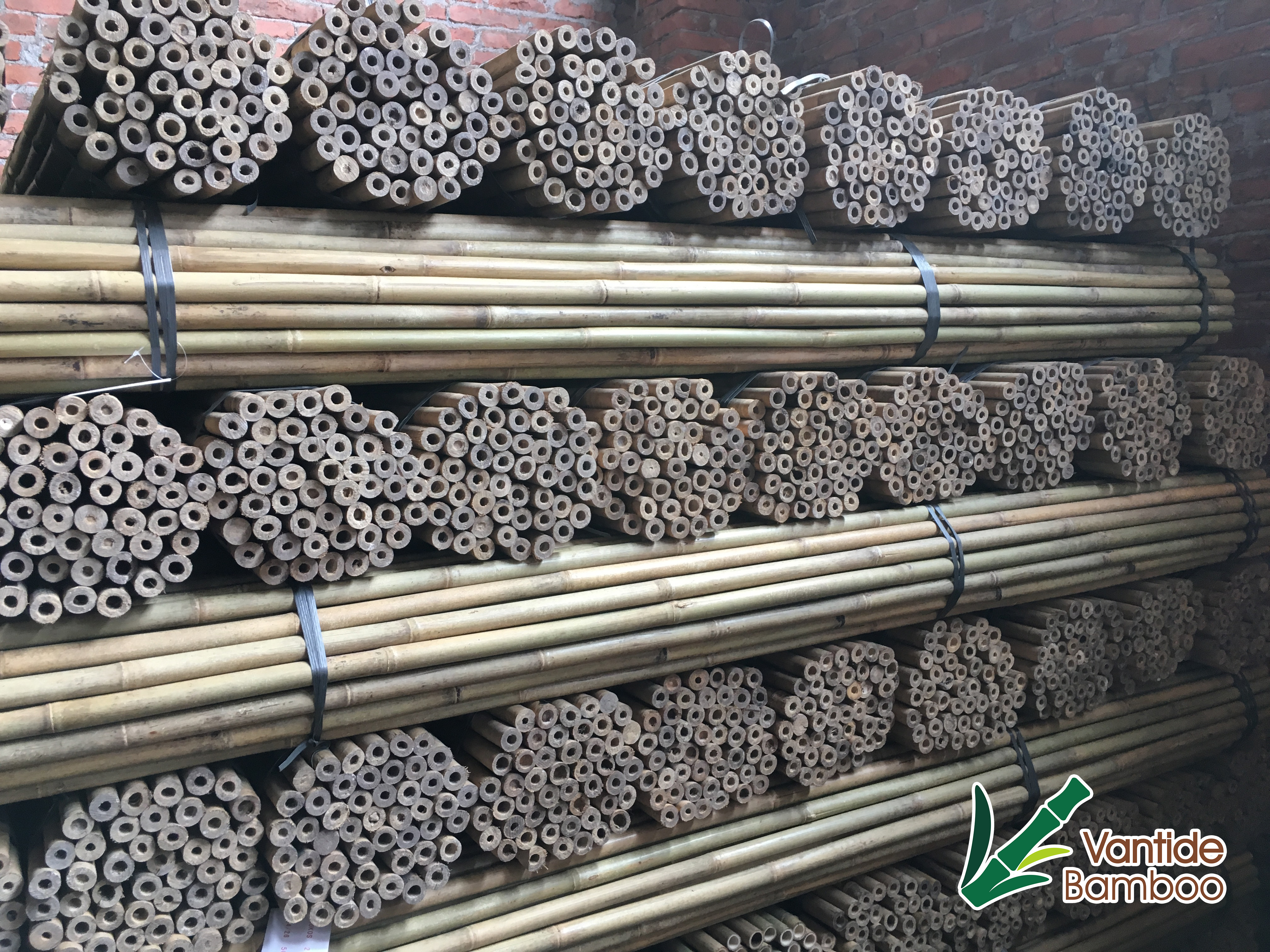 Bamboo Pole