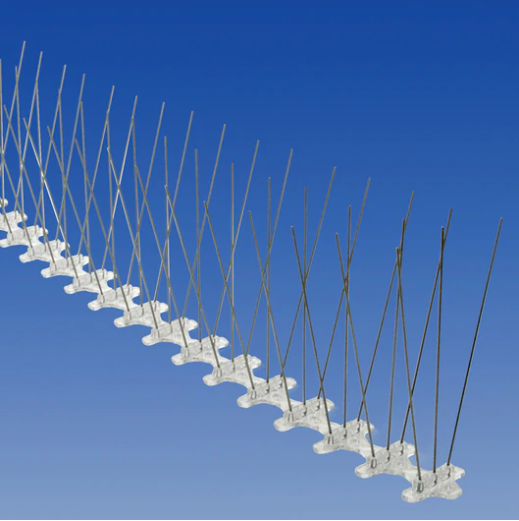 Bird Spikes