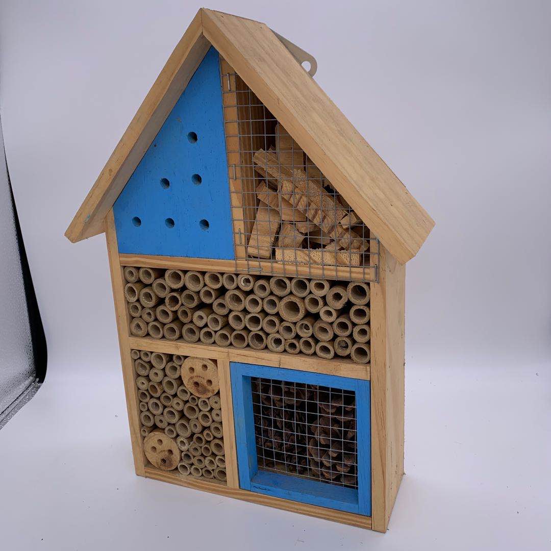 Blue Insect Hotel