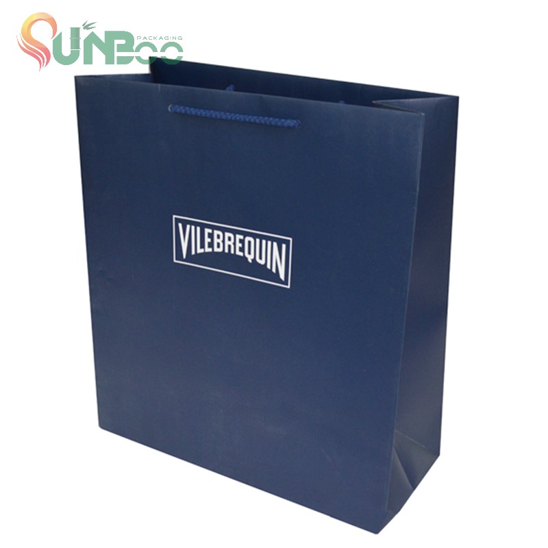 Paper bag gift bag shopping bag