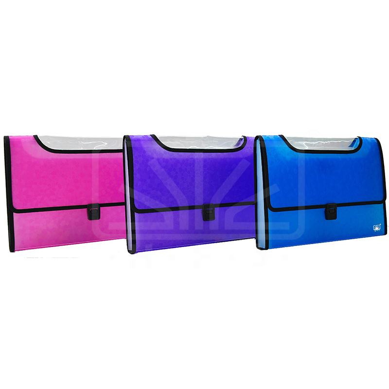 Expanding File (Pp Folder)