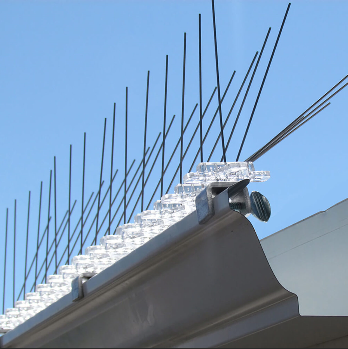 Bird Spikes
