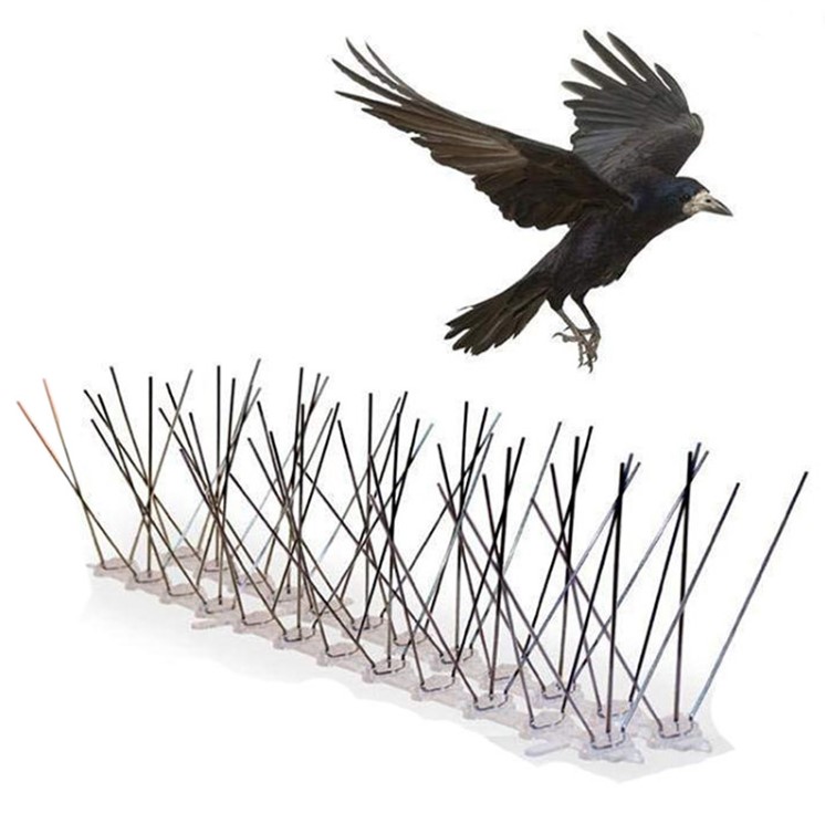 Bird Spikes