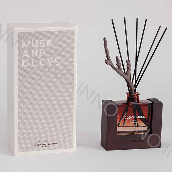 RAINCOAST 16101 100ML Fragrance Reed Diffuser for home fragrance and home decoration