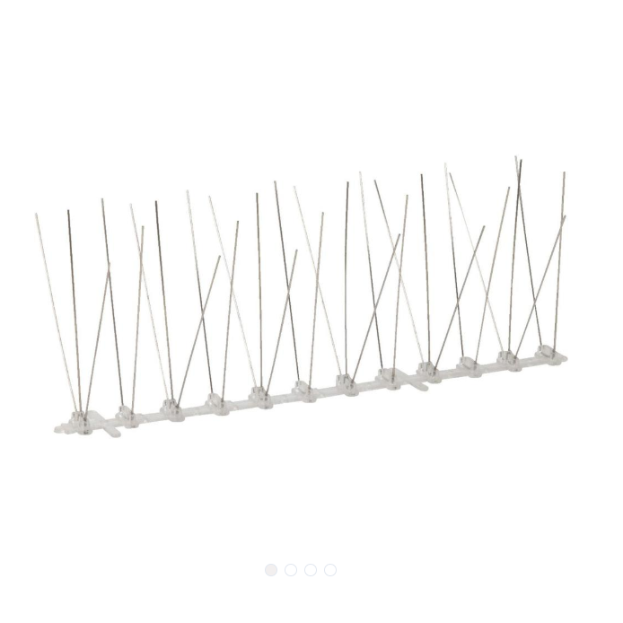 Bird Spikes
