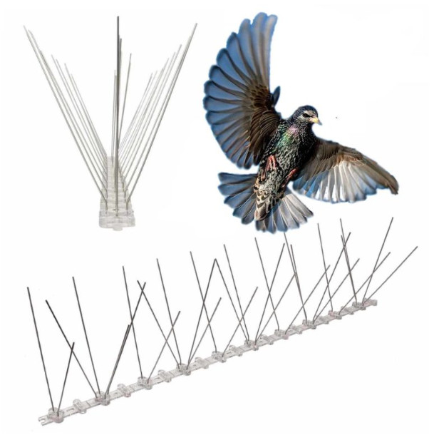 Bird Spikes