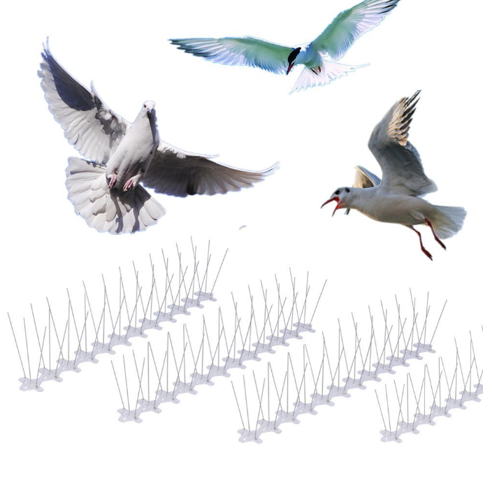 Bird Spikes