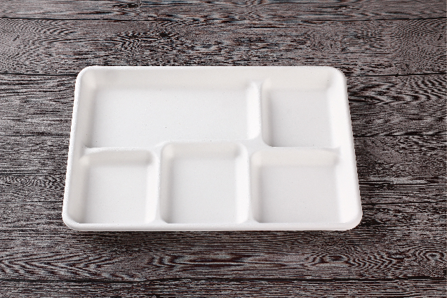 Sugarcane Bagasse pulp disposable tableware