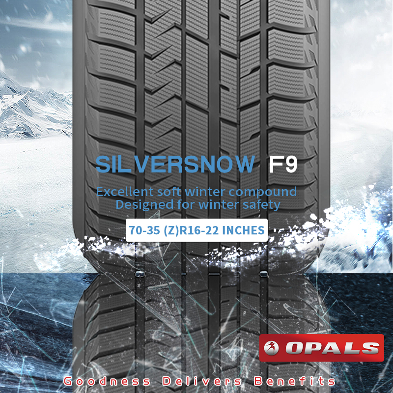 Winter Tyre