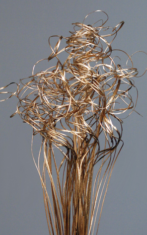 Curly Ting Ting(dry flower;dried flower)