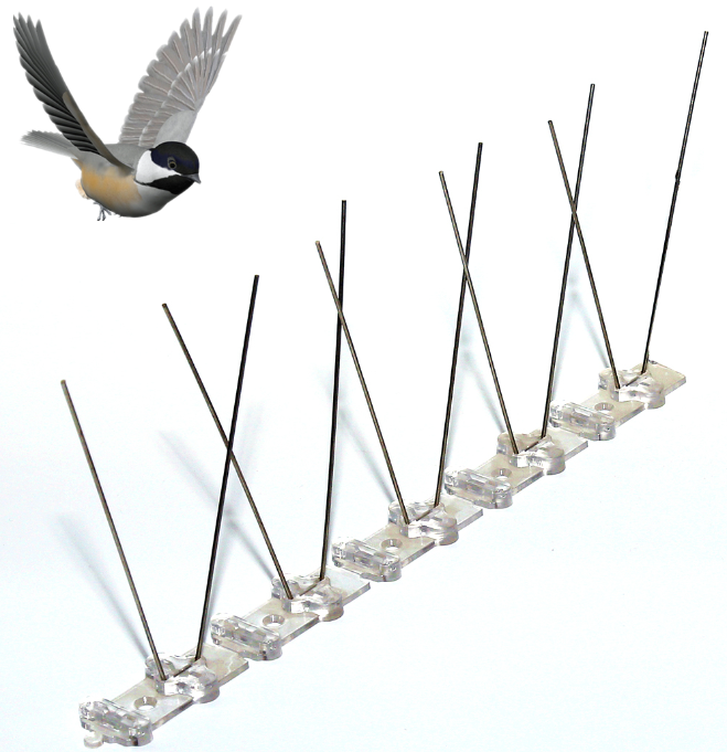 Bird Spikes