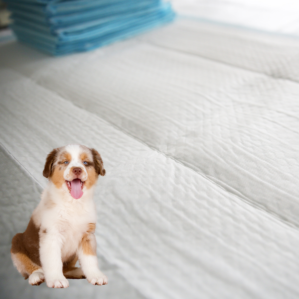 Porous film puppy pads