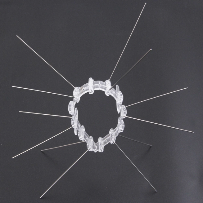 Bird Spikes