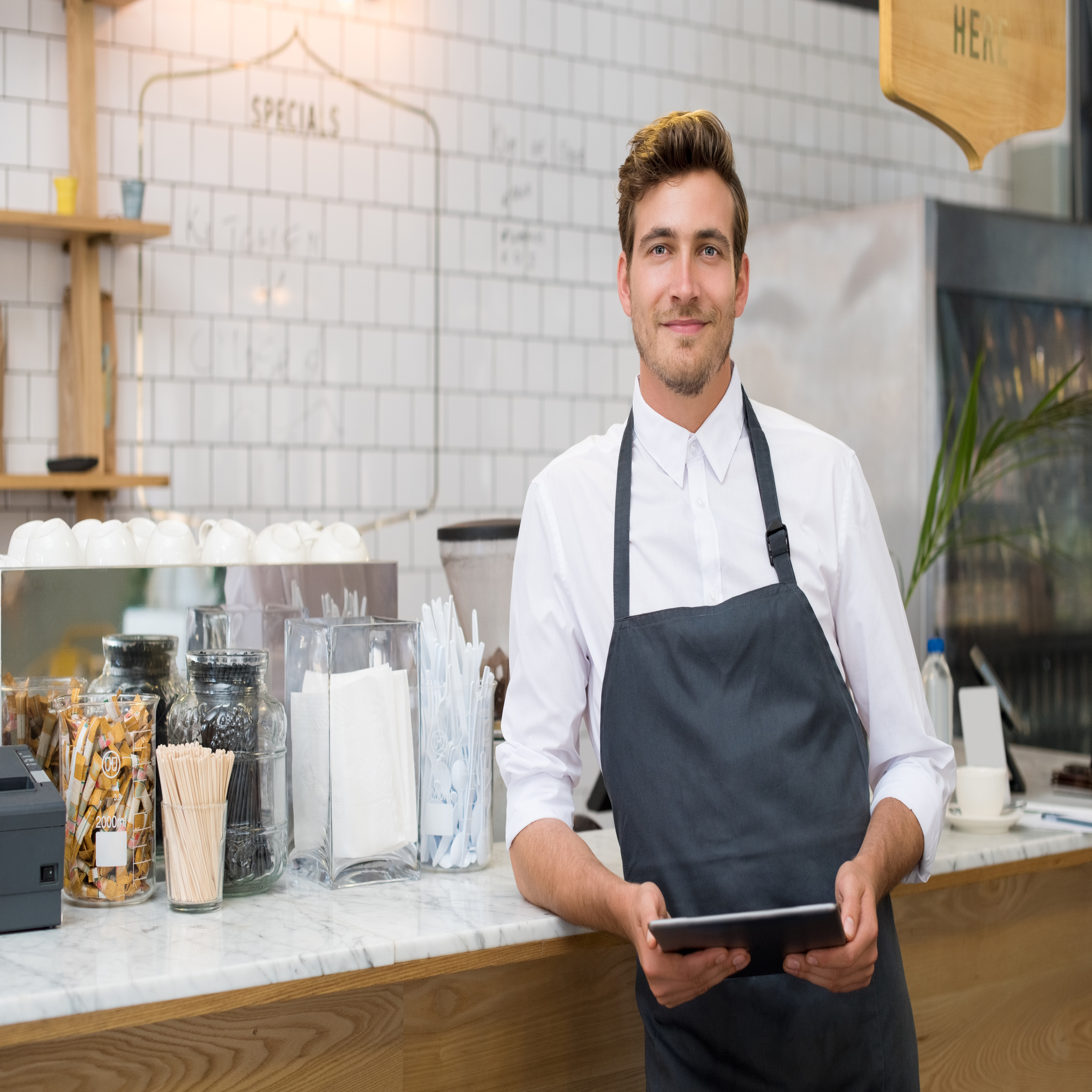 Apron - Spun Polyester bib Apron