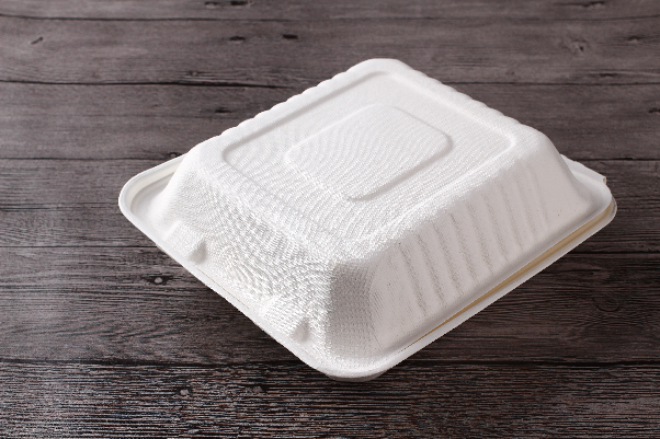 Sugarcane bagasse pulp disposable tableware lunch box