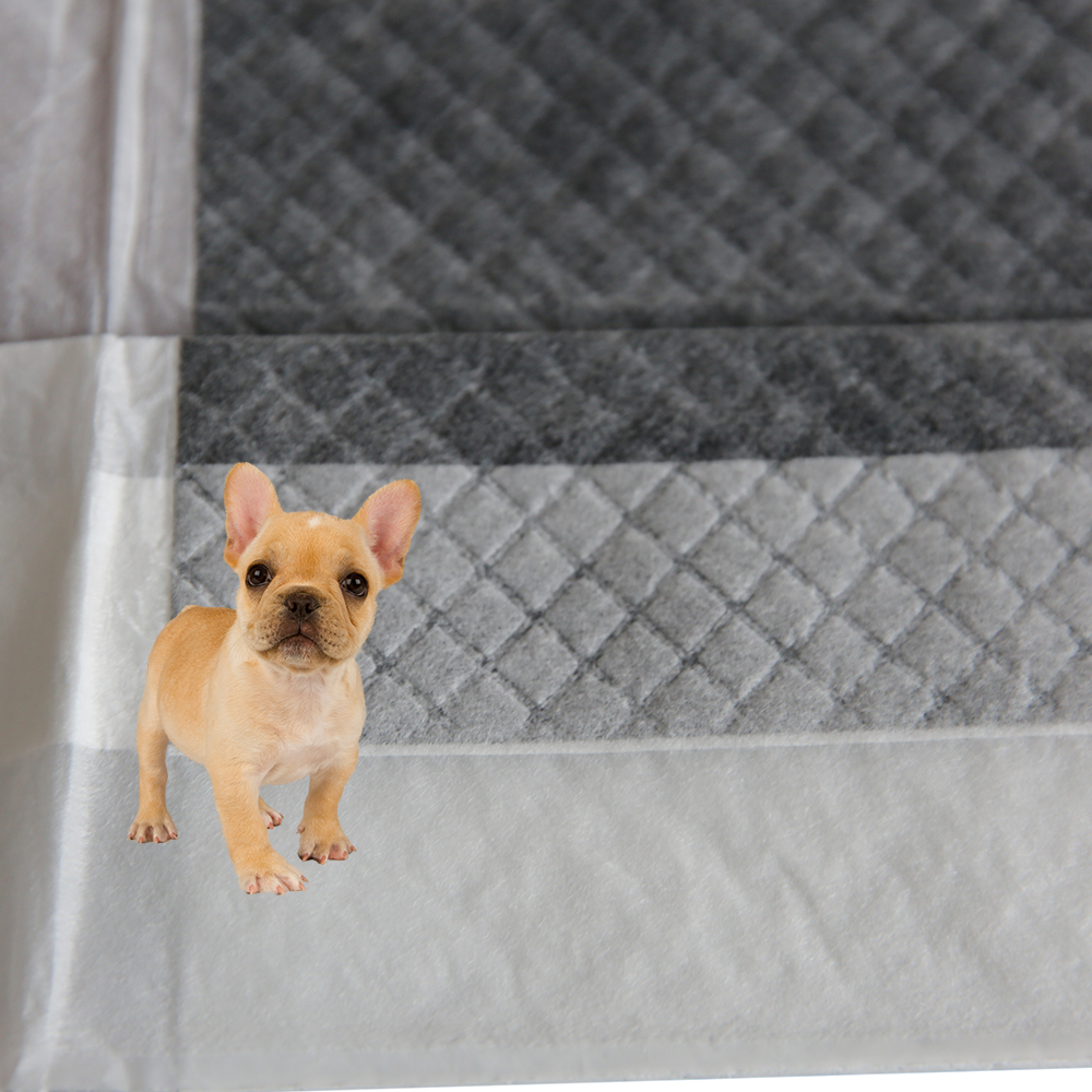 Charcoal pet pad