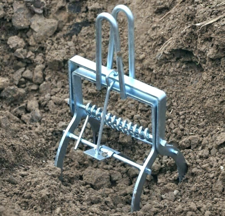 Scissors Mole Trap