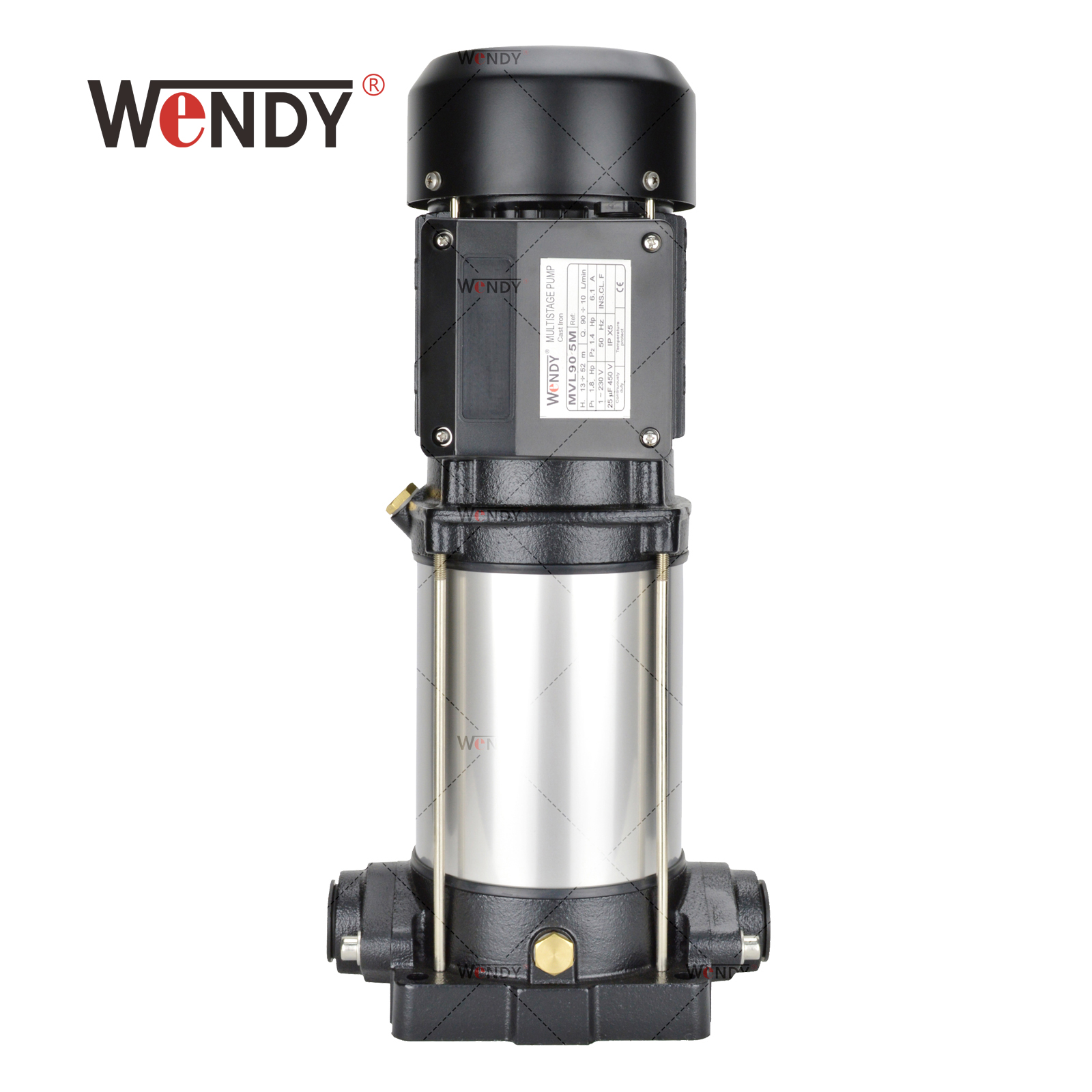 cast iron vertical multistage pump