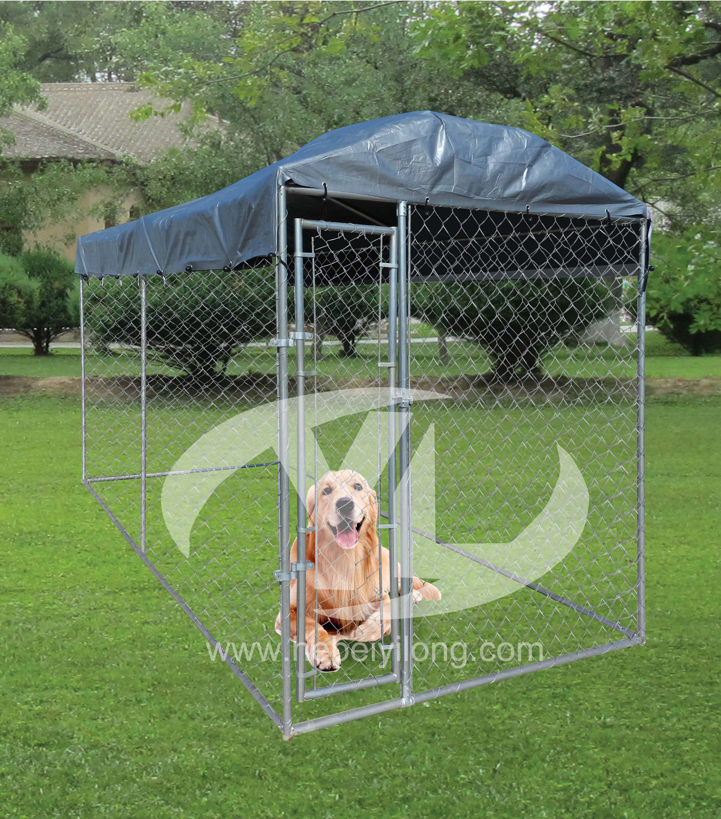 Chain Link Fence Wire Kennel