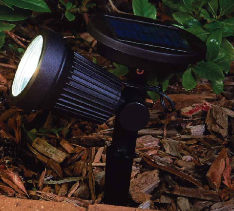 Solar Light