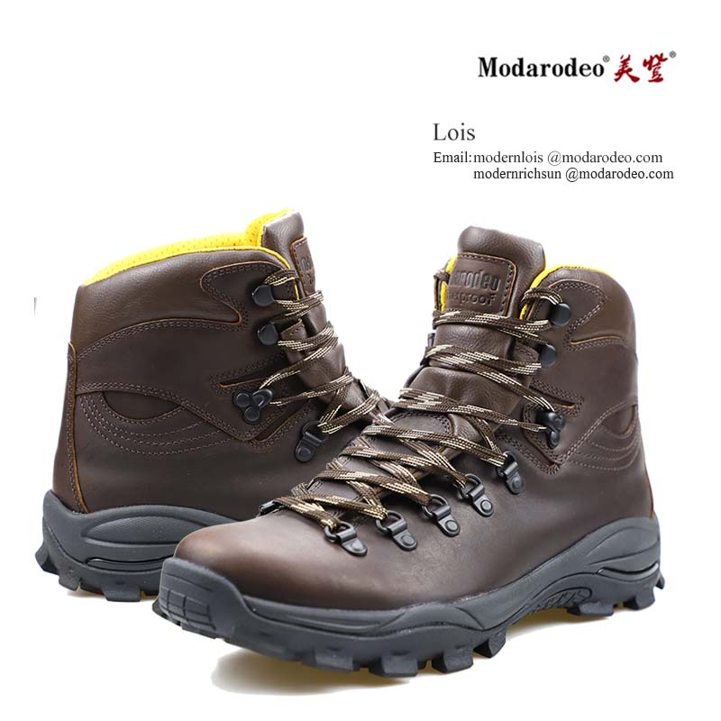 work shoes/safety shoes/work boots/safety boots/steel toe shoes