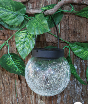 Solar Light