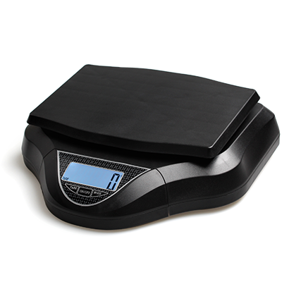 EH-273 Kitchen Scale
