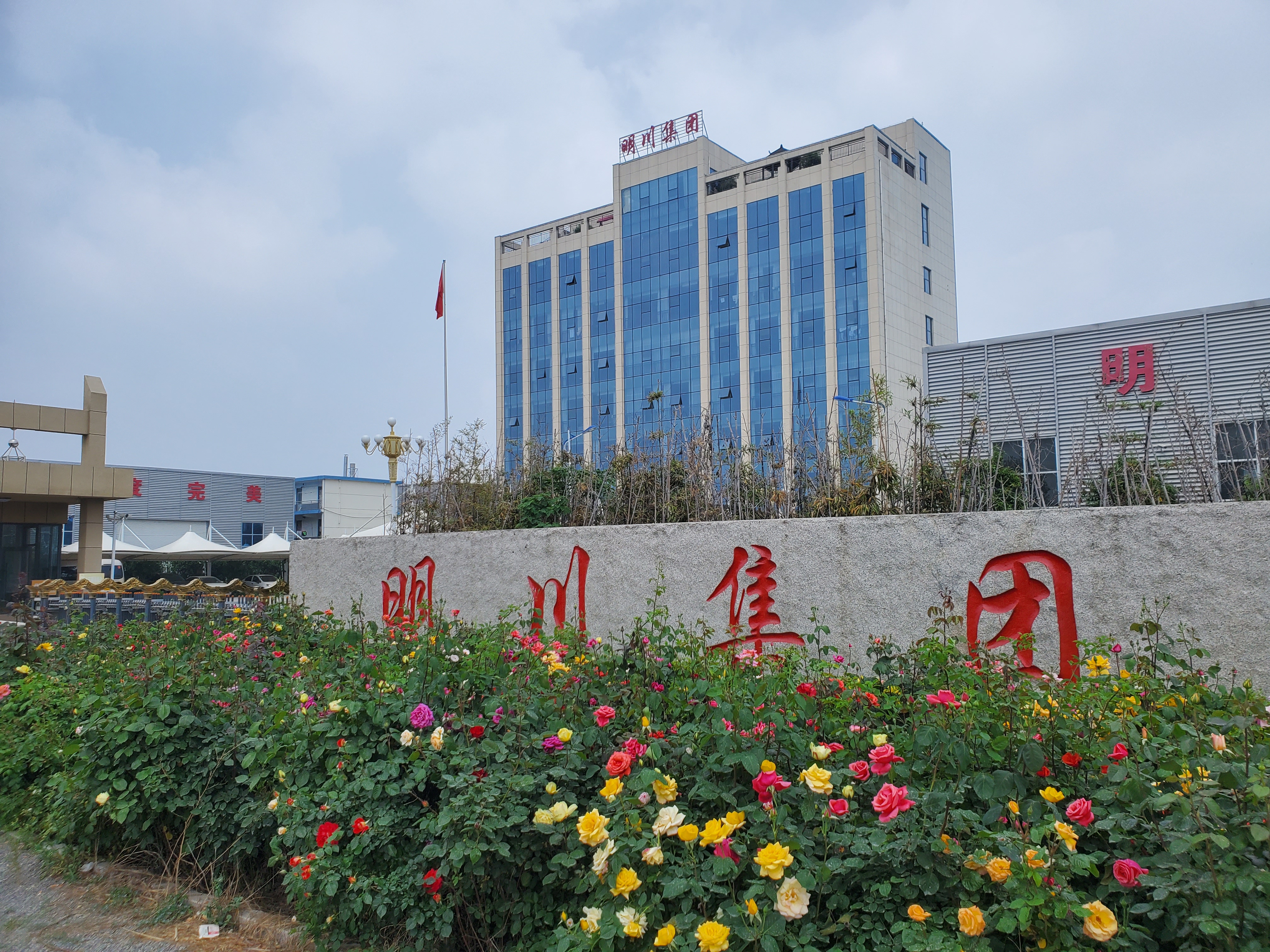 Shandong Zhongxin International Trade Co., Ltd. – plywood 2