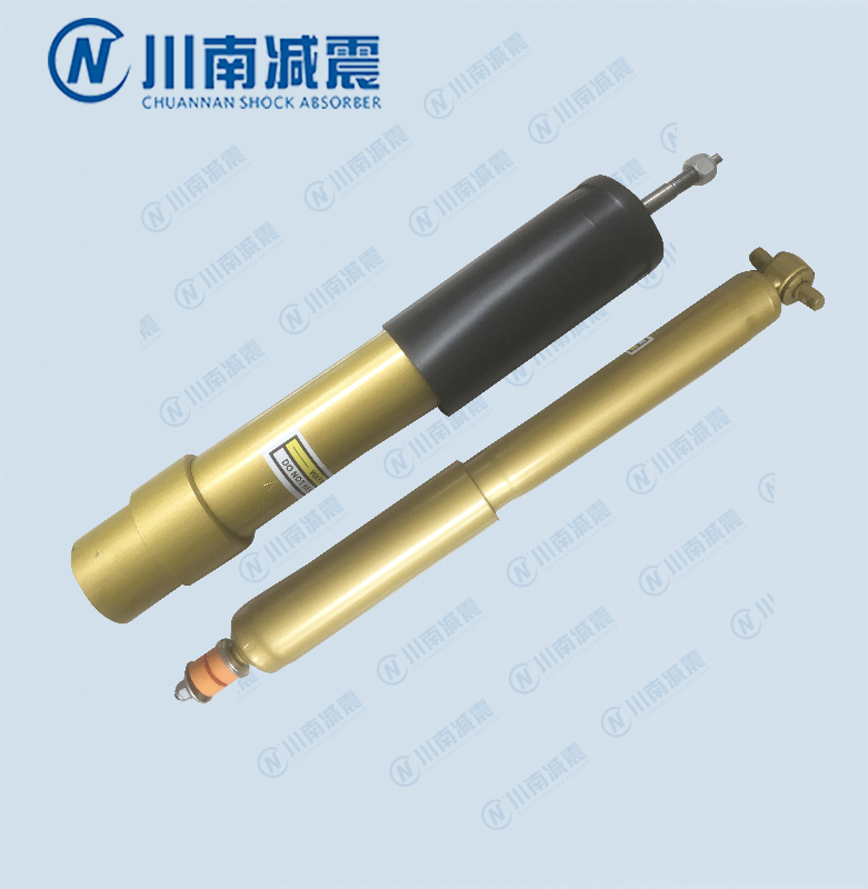 CN010 Auto shock absorber
