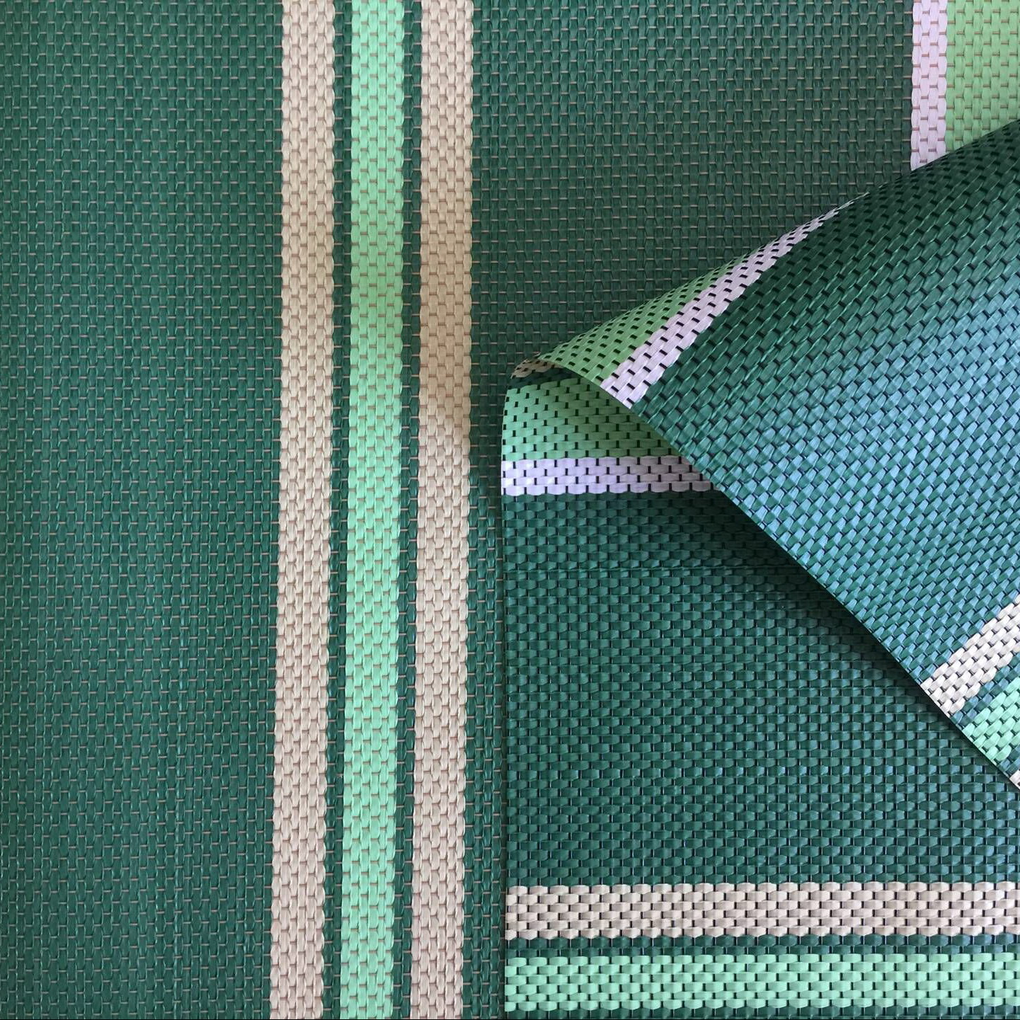 PVC Rv Mat