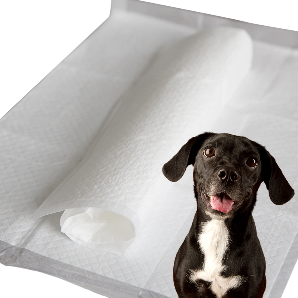 Good absorption Puppy pad