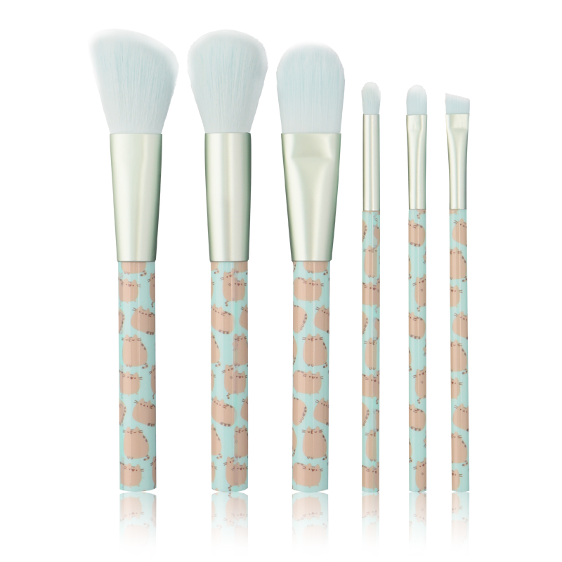 6pcs Cosmetic Brush Set With Plastic Handle ,Synthetic Hair