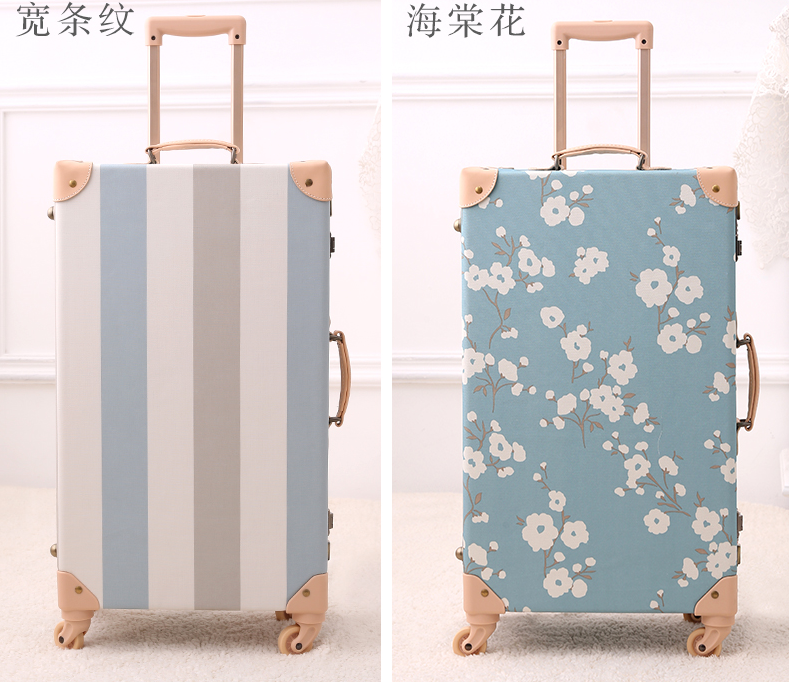 Vintage Luggage