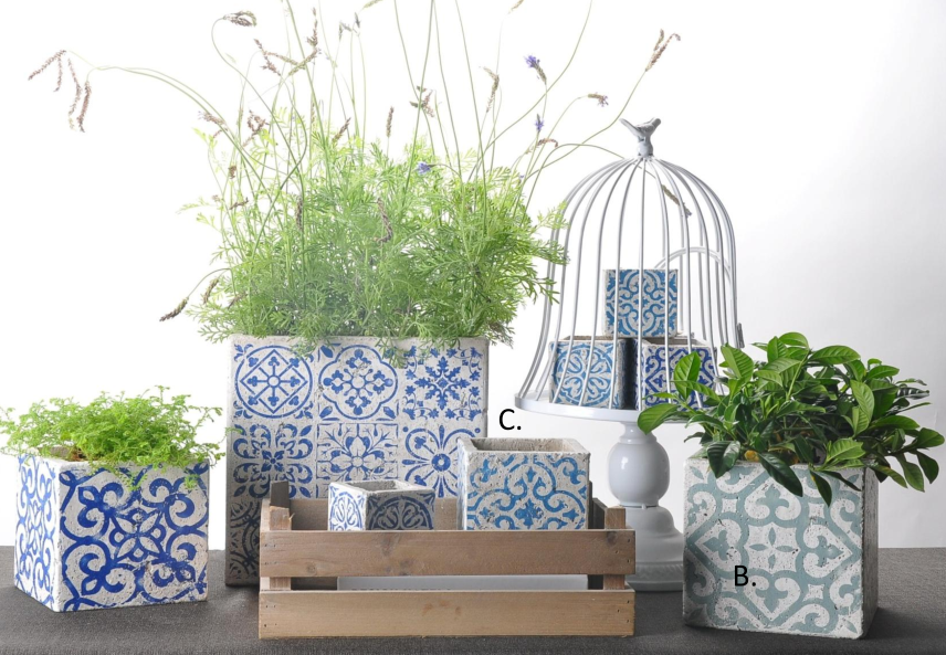 Cement Pot
