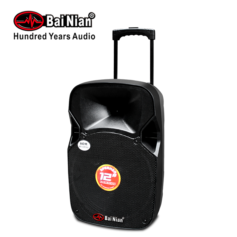 Trolley Speaker、12inch、Outdoor Active Portable Speaker