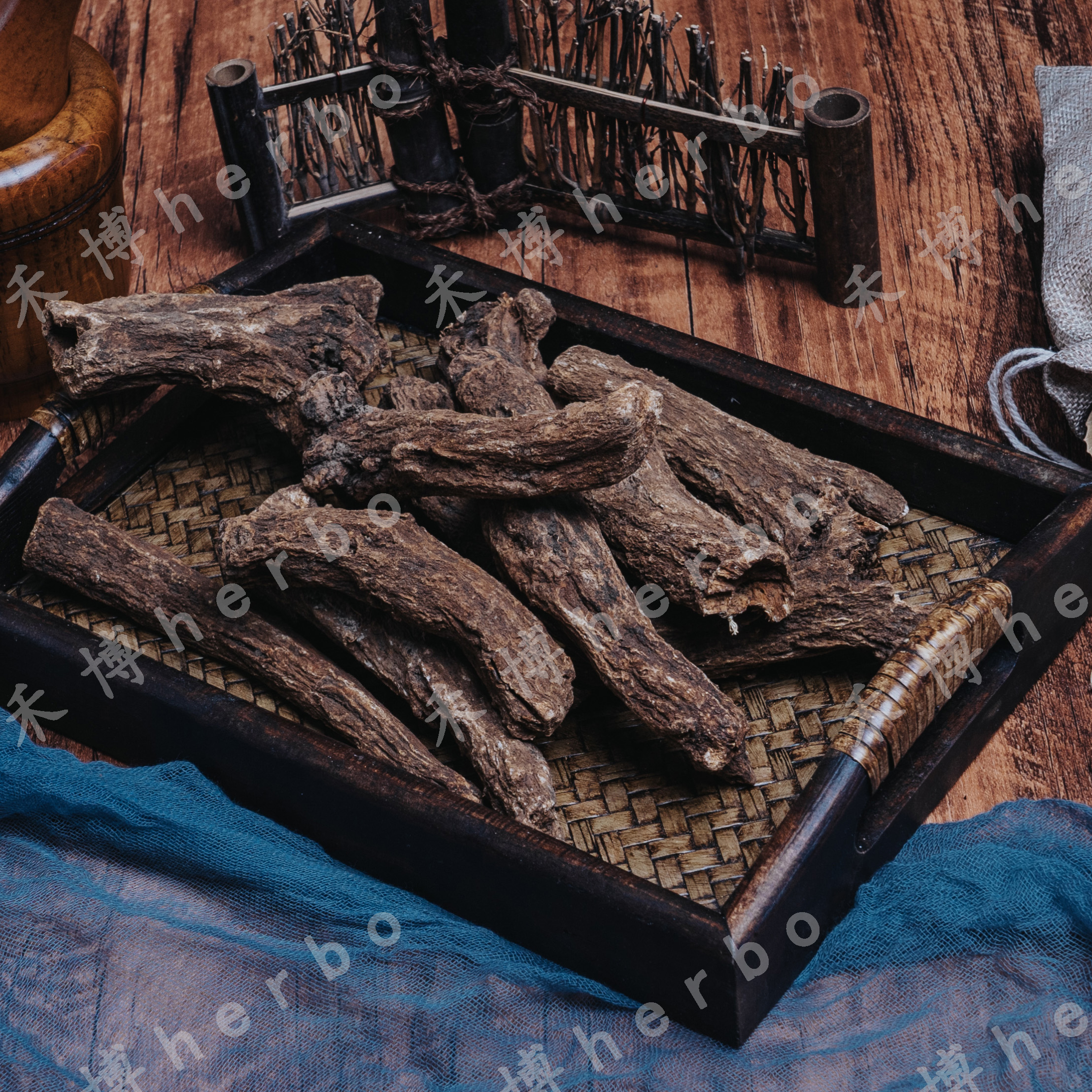 Costus Root