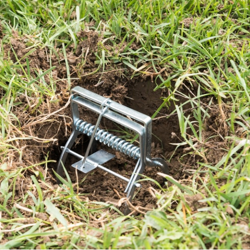 Scissors Mole Trap