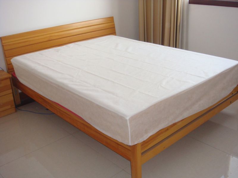 PVC VINYL fitted fancy bed Mattress Cover, hospital bed mattress cover waterproof Bed Bug Protector