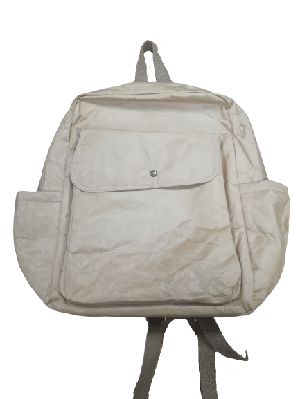 Tyvek bag