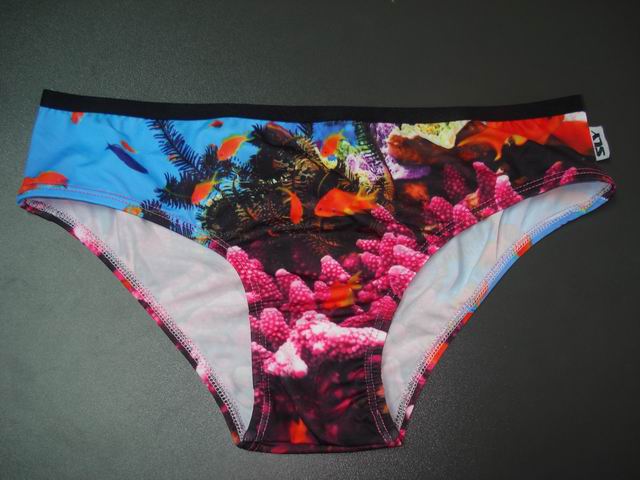 ladies underwear